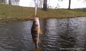 IMAG0862.jpg
