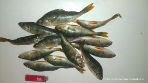 IMAG0641.jpg
