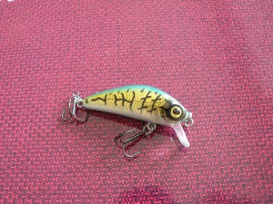 R2S 45F Humbug minnow.jpg