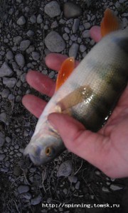 IMAG0117.jpg