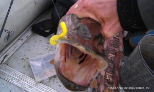 IMAG0147.jpg