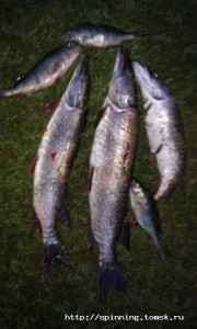 IMAG0154.jpg