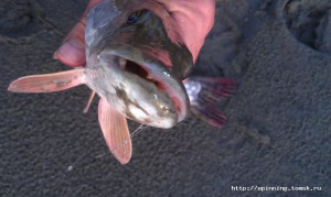 IMAG0423.jpg