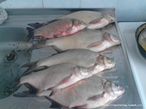IMG_20130509_171710.jpg