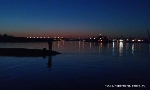 IMAG0913.jpg