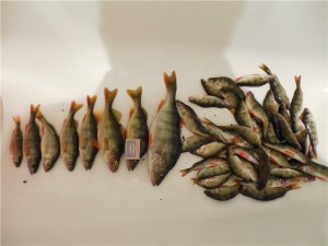 123.jpg