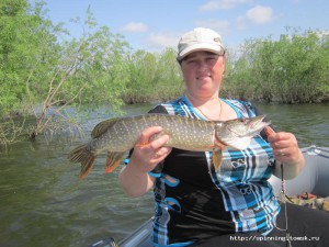 IMG_1519.jpg