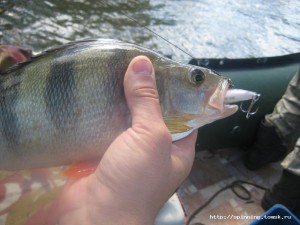 IMG_7310.jpg