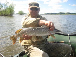 IMG_7308.jpg