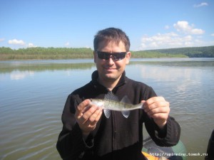 IMG_7184.jpg