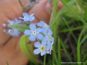 IMG_7189.jpg