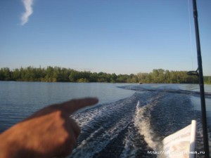 IMG_7207.jpg