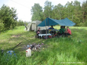 IMG_7229.jpg