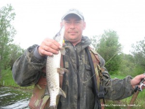 IMG_7273.jpg
