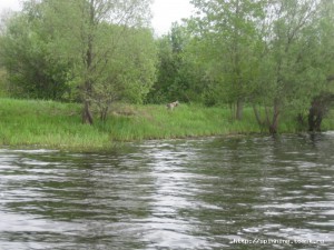 IMG_7269.jpg