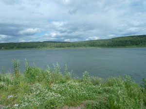 pic003.JPG