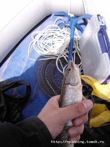IMG165.jpg