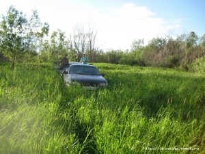 IMG_7377.jpg