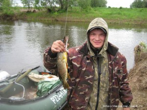 IMG_7394.jpg