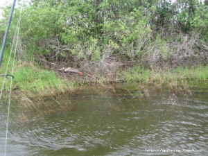 IMG_7395.jpg