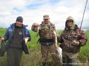 IMG_7397.jpg