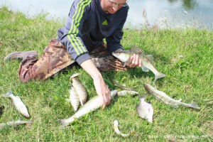 IMG_4765.JPG