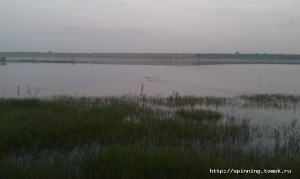IMAG0932.jpg
