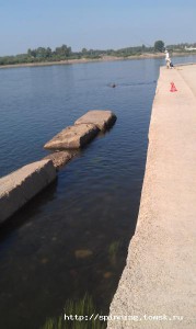 IMAG0944.jpg