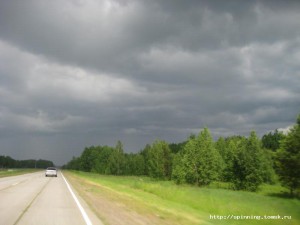 IMG_7429.jpg