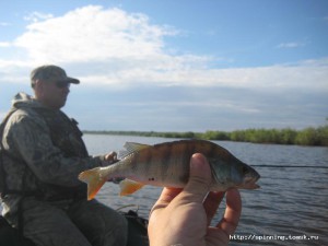 IMG_7433.jpg