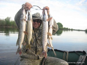 IMG_7435.jpg