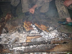 IMG_7449.jpg