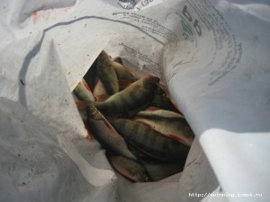 IMG_7483.jpg