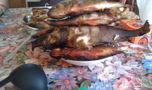 IMAG0965.jpg