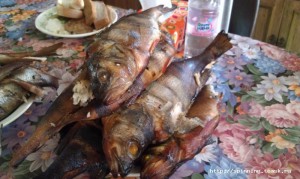 IMAG0967.jpg