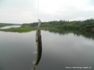 DSCN5742.JPG