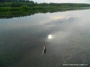 DSCN5747.JPG
