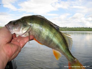 IMG_0738.JPG