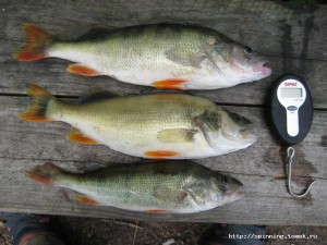IMG_0747.JPG