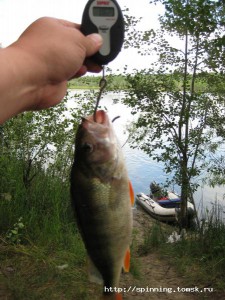IMG_0741.JPG