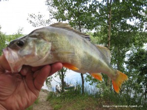 IMG_0744.JPG