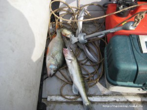 IMG_0759.JPG