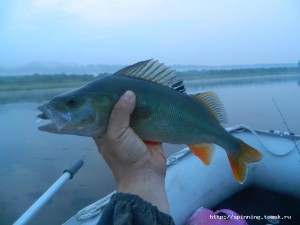 DSCN5761.JPG