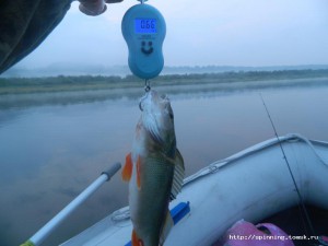 DSCN5763.JPG