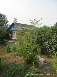 IMG_4071.JPG