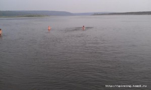 IMAG0987.jpg