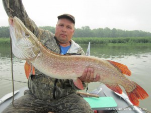IMG_1728.jpg