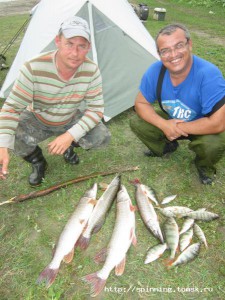 IMG_1771.jpg