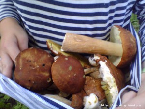 IMG_20130816_192146.jpg