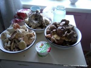 P140813_1400[01].jpg
